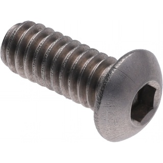 Screw, Button Head Socket, 1/4-20 X 5/8, SST