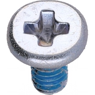 Screw, Wafer Head, M2x4mm, Patch