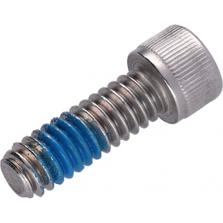 Screw, Socket Head, 1/4-20 X 3/4, Patch, SST