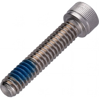 Screw, Socket Head, 1/4-20 X 1-1/4, Patch, SST