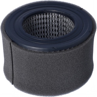 Dry Vacuum Coalescing Filter