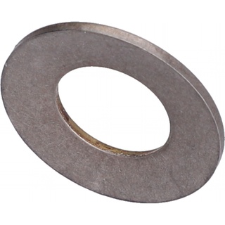 Washer, Spring, SST, .384 ID