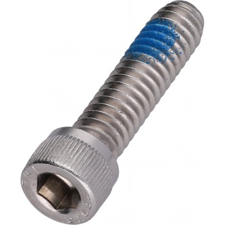 Screw, Socket Head, 1/4-20 X 1, Patch, SST