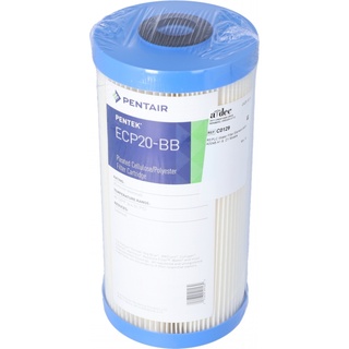 REPLC Water Filter Element, WS1-A0048.A1 & .D1 Models
